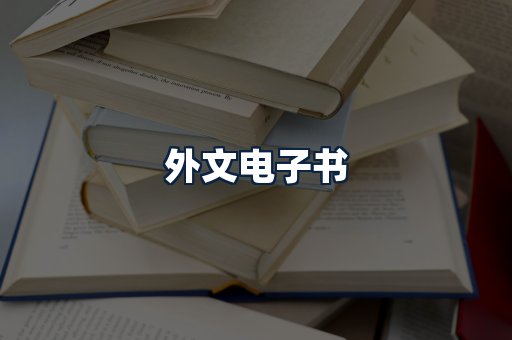外文电子书